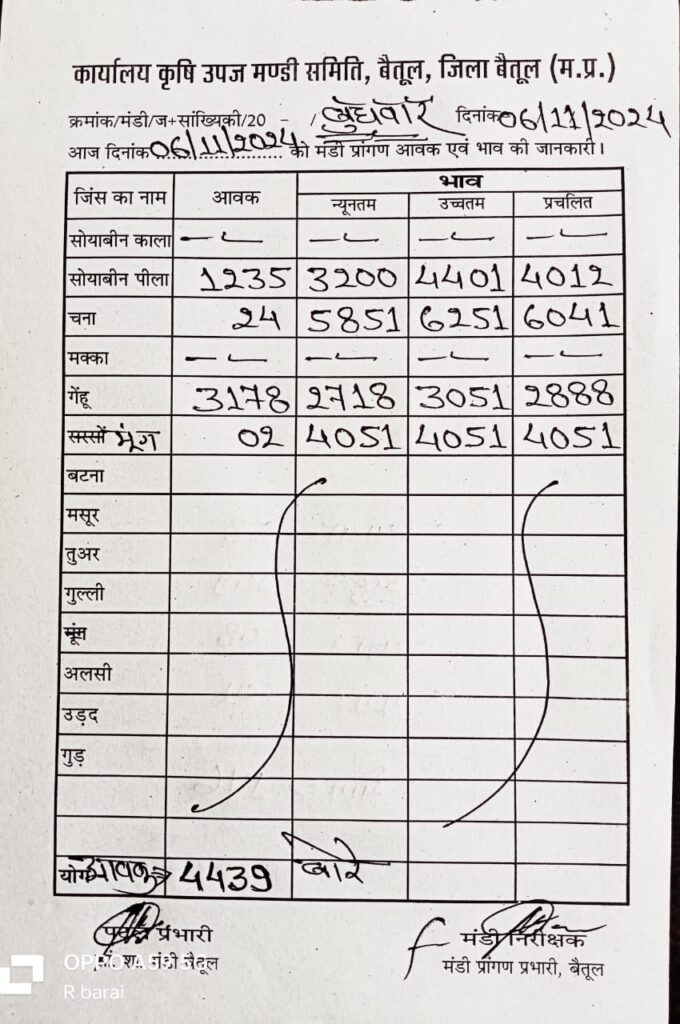 Today Betul Mandi Bhav : बैतूल मंडी में आज 6 नवंबर 2024 के भाव